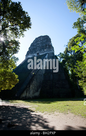 Tempel V Bau in Tikal archäologischen Stätte. Guatemala. Stockfoto