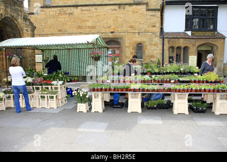 Blume-Marktstand verkaufen Topfpflanzen, Blumen, Sträucher und Pflanzen Stockfoto