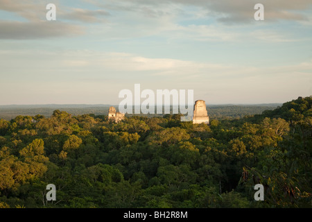 Sonnenuntergang in Tikal Archäologie Website. Stockfoto