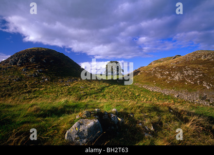 Ein Blick auf Sycamore Gap in der Nähe von Bardon Mill auf Hadrian Wall in Northumberland Stockfoto