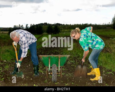 Mann und Frau schaufeln Schmutz Stockfoto