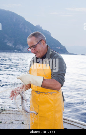 Fischer am Boot, Fische im Netz Stockfoto