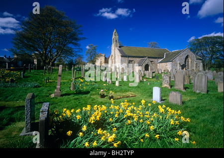 Blick auf Elsdon Dorf im Northumberland National Park in der Frühlingssonne Stockfoto