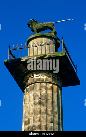 Die Percy Mieterschaft Spalte in Alnwick, Northumberland Stockfoto