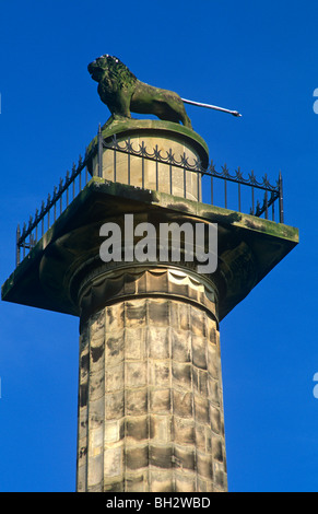 Die Percy Mieterschaft Spalte in Alnwick, Northumberland Stockfoto