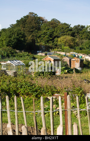 Zuteilung Parzellen mit hölzernen Schuppen und Gewächshaus/Glashaus mit Holzzaun im Vordergrund Stockfoto