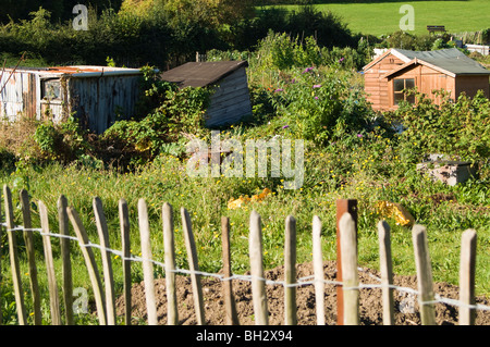Zuteilung Parzellen mit Holzschuppen und Holzzaun im Vordergrund Stockfoto