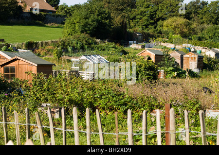 Zuteilung Parzellen mit hölzernen Schuppen und Gewächshaus/Glashaus mit Holzzaun im Vordergrund Stockfoto