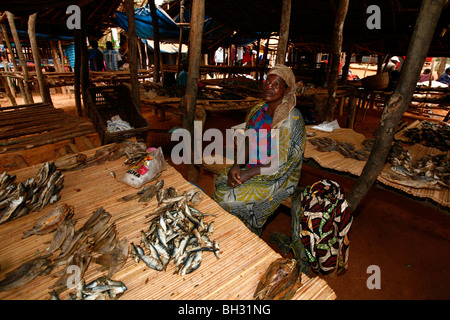 Getrockneter Fisch versteigert ein Straßenmarkt zwischen Gabela und Sumbe, Angola, Afrika. Stockfoto