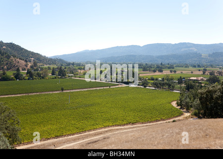 Weinland, Nappa Valley in Kalifornien, USA Stockfoto