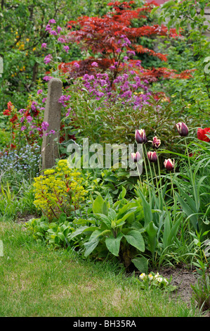 Ewige Grenze im Frühjahr Stockfoto