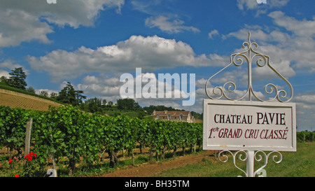 WEINGUT CHATEAU PAVIE. SAINT-EMILION, GROßE WEINE AUS BORDEAUX, GIRONDE (33), FRANKREICH Stockfoto