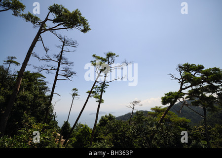 Ansicht der Seto-Inlandsee (Seto Naikai) vom Berg Misen. Insel Itsukushima (Miyajima). Präfektur Hiroshima. Japan Stockfoto