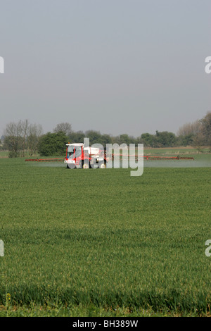 Crop Sprayer arbeiten In Lincolnshire Stockfoto