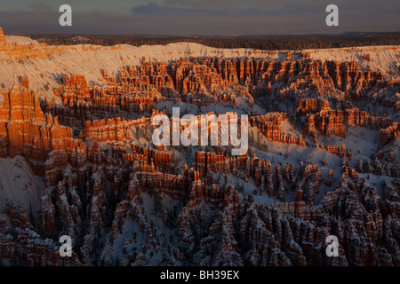 Schneebedeckte Hoodoos frühen Morgenlicht im Bryce-Canyon-Nationalpark Stockfoto