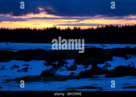 Wald und Moor im Winter - Northumberland von der A696-Straße am Ottercops südlich von Otterburn, Blick nach Westen, Ende Januar Stockfoto