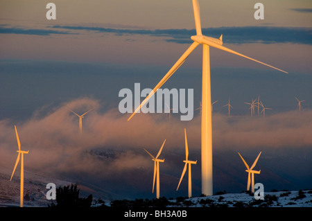 Windy Point Windpark im Klickitat County, Washington Foto von Bruce Forster 2009 Stockfoto