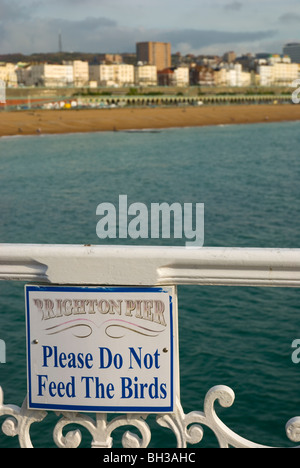 Nicht füttern melde die Vögel Pier von Brighton Brighton England UK Mitteleuropa Stockfoto