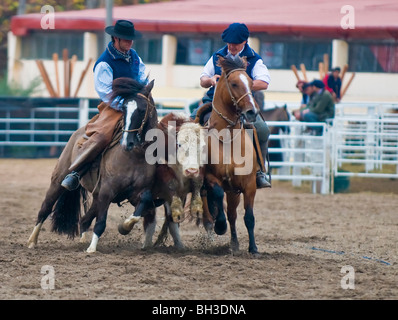 Teilnehmer in die Gauchos zeigen in "Semana Criolla" in Montevideo Uruguay Stockfoto