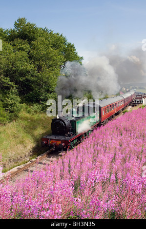 Dampfmaschine Braeriach Broomhill Station auf der Strathspey Eisenbahn Schottland Stockfoto