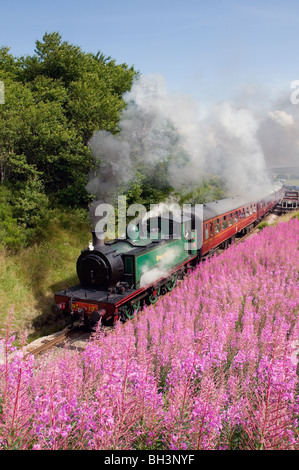 Dampfmaschine Braeriach Broomhill Station auf der Strathspey Eisenbahn Schottland Stockfoto