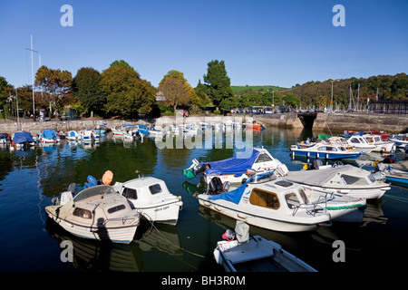 Dartmouth Quay (The Boat Float) und South Embankment, Dartmouth, Devon, England, Großbritannien Stockfoto