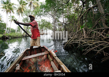 Bootsmann Mangroven, Rincon Beach, Halbinsel Samana, Dominikanische Republik Stockfoto