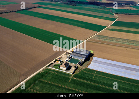 LUFTAUFNAHME DER NORMANDIE BOCAGE WEIDE, CALVADOS (14), NORMANDIE, FRANKREICH Stockfoto