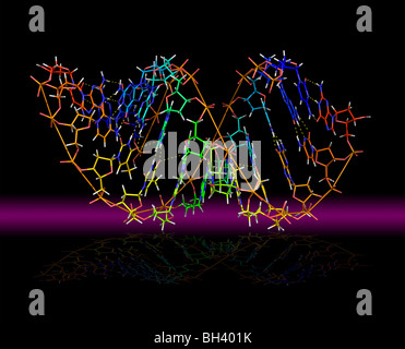Desoxyribonukleinsäure - DNA Stockfoto