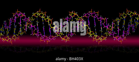 Desoxyribonukleinsäure - DNA Stockfoto