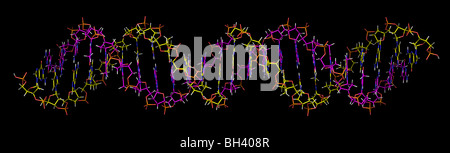 Desoxyribonukleinsäure - DNA Stockfoto