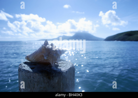 Eine große Muschel auf einem hölzernen Pfosten gegen das Meer und Himmel Stockfoto