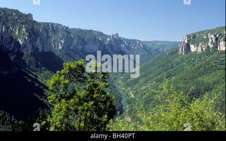 Gorges du Tarn, Cevennen, Frankreich. Die Kalkfelsen des Gebietes sind sichtbar in der Landschaft Stockfoto