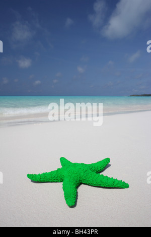 Seestern auf dem Sand auf einem einsamen tropischen Strand Stockfoto