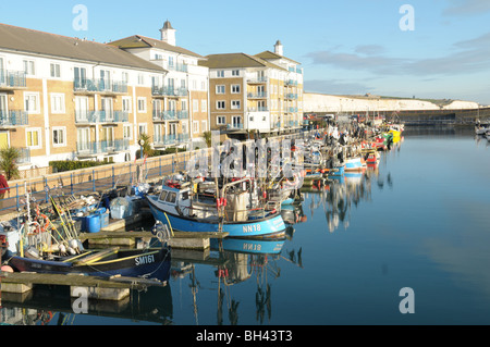 Angeln, Boote und Yachten gefesselt in Brighton Marina an der Südküste von England. Stockfoto
