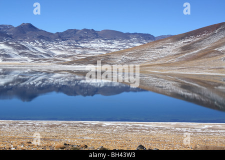 Laguna Miscanti Chile Stockfoto