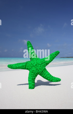 Seestern auf dem Sand auf einem einsamen tropischen Strand Stockfoto