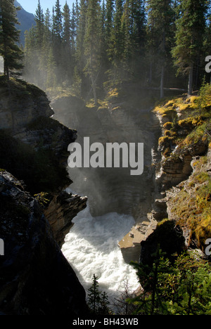 Athabasca fällt durch den Canyon im Spätsommer. Stockfoto