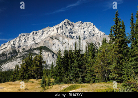 Blick auf Gebirge von den Hoodoos an einem sonnigen Tag. Stockfoto