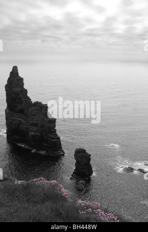 Alte rote Sandstein Seastack bei Duncansby Head mit rotem Klee (Trifolium Pratense) oben auf den Klippen. Stockfoto