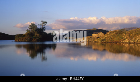 Llynnau Cregennen Insel spiegelt sich im See Snowdonia Nationalpark Gwynedd Mitte Wales UK Stockfoto