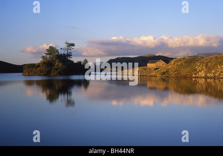 Llynnau Cregennen Insel spiegelt sich im See Snowdonia Nationalpark Gwynedd Mitte Wales UK Stockfoto