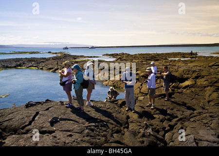 Eine Gruppe von Gästen aus Ecoventuras Yacht Eric beginnt eine Wanderung Fernandina Insel Galapagosinseln Ecuador Stockfoto