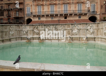 Fonte Gaia Brunnen, Piazza del Campo in Siena, Toskana, Italien Stockfoto