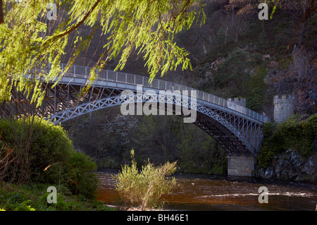 Craigellachie-Brücke, erbaut von Thomas Telford 1812-1814. Stockfoto