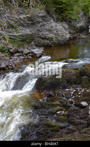 North Esk River bei Glen Esk-Schlucht. Stockfoto