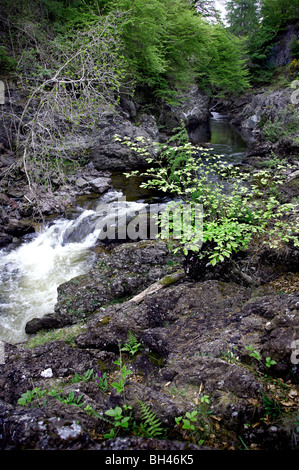 North Esk River bei Glen Esk Schlucht; bekannt als die Felsen der Einsamkeit.