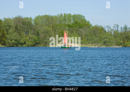 Segelboot auf Norfolk Broads im Frühjahr. Stockfoto