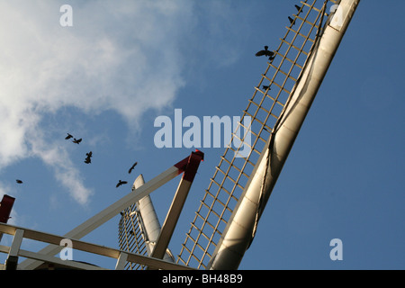 Alte Windmühle in Ravenste mit fliegenden Krähen. Stockfoto