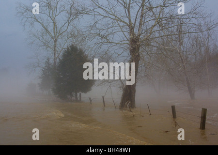 Wasser fließt über eine überflutete Straße nach einem Feder-Sturm im ländlichen Indiana. Nebel Nebel Regen Geheimnis Farbe horizontal Stockfoto